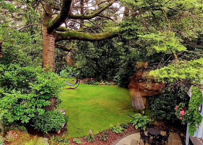 Herlihy's, Half-way-house Farranfore